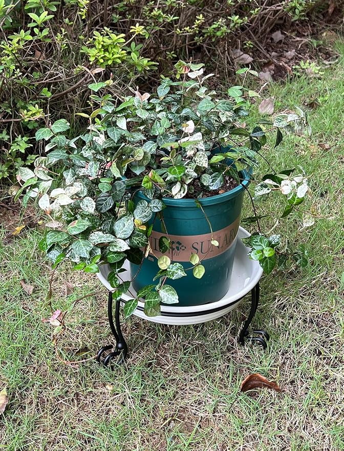 2 Pack Metal Gazing Ball Stand for 10 or 12 Inch Outdoor Garden Gazing Globes,Metal Display Stand for Plant or Flowerpot Holder,Birdbath Bowl Stand 6 Inch Tall,Black