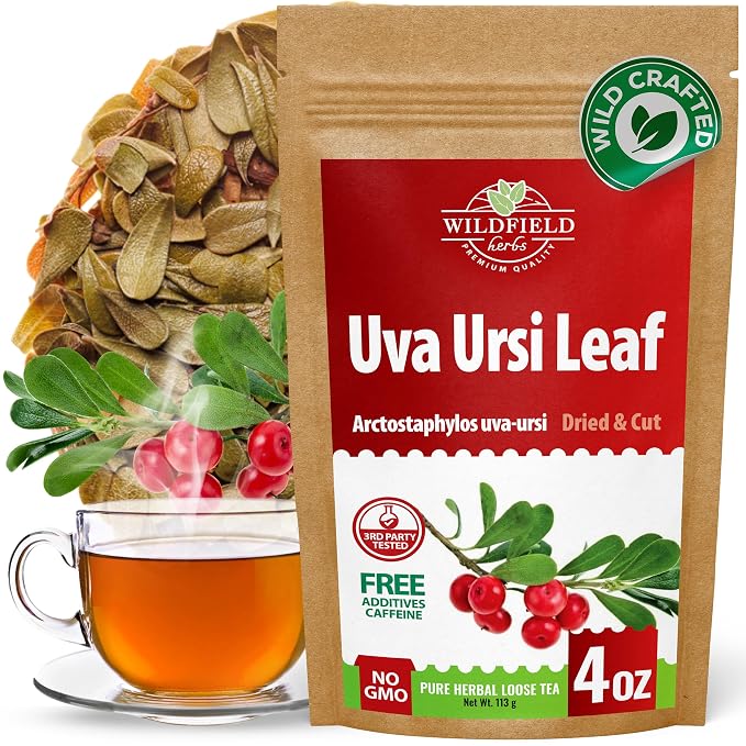 4 oz. Uva Ursi Leaf Bearberry Tea Herbal (Arctostaphylos Uva-Ursi) - 113g Uva-Ursi Herb Tea Arctostaphylos Uva-Ursi