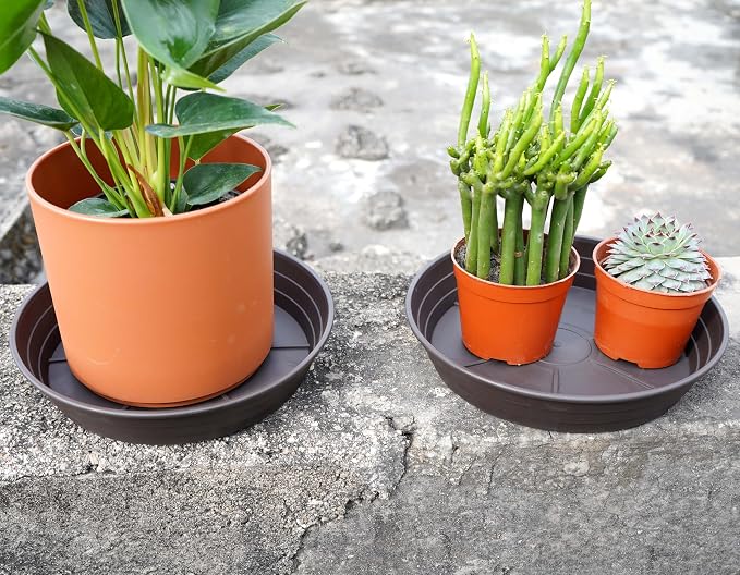 Plant Saucer 8 Inch 4 Pack 6 8 10 12 14 16 18 20 25, Plastic Plant Trays for Pots，Extra-Deep Plant Water Dray Tray, Bird Bath Bowl, Heavy Flower Plant saucers Indoors and Outdoor No Holes 8in-4 brown