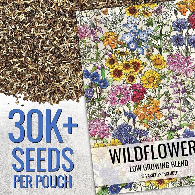 Seed Needs Wildflower Seeds Low Growing 2 Ounce Heirloom Bulk Pack