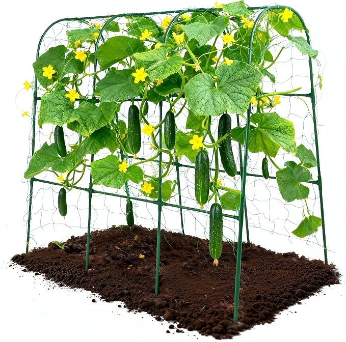 63''X47.2''Cucumber Trellis, Garden Trellis U-Shape Plant Support for Climbing Plants Metel Arch with Netting for Raised Garden Bed Outdoor Cucumbers, Tomatoes, Vine Climbing Plant
