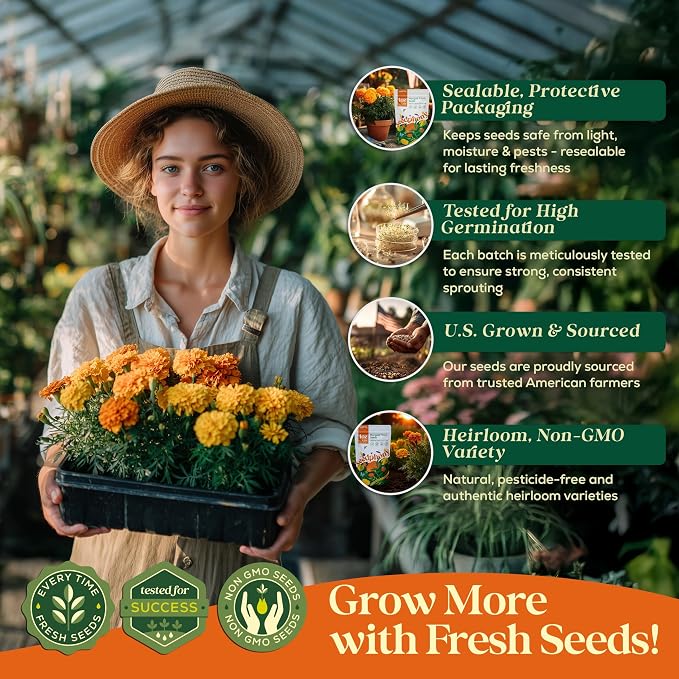 Seedphony Marigold Seeds Pack 1 oz - 9,250 Non-GMO Heirloom Marigold Seeds for Planting, Perennial Flowers in Waterproof Seed Packet, Wildflower Seeds for Planting Garden Indoor & Outdoor Gardening