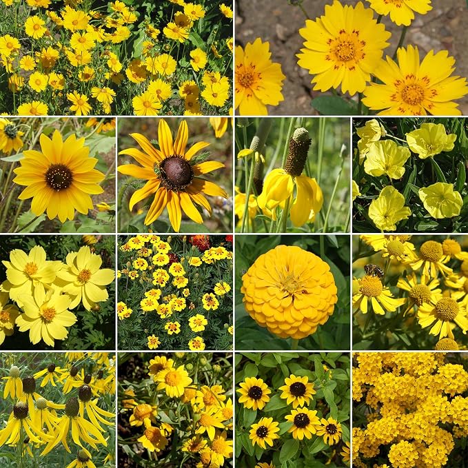 Ferry Morse Flower Seeds - Yellow Mix, Non-GMO, Full Sun - 1 lb