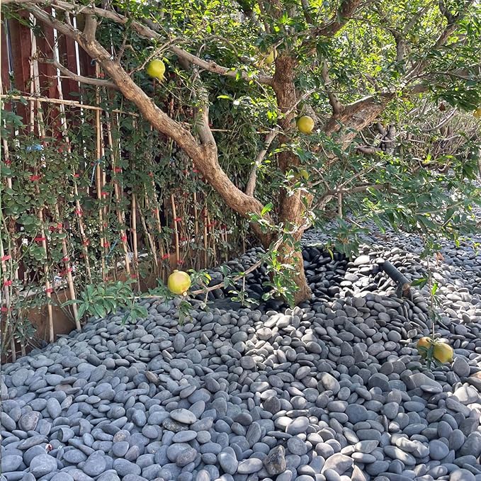 FANTIAN 5 lbs Black Stones Pebbles for Planters, 2-3 Inch Natural Decorative Black River Rocks for Outdoor Landscaping, Aquarium, Garden, Walkways, Fountain and Painting Rocks