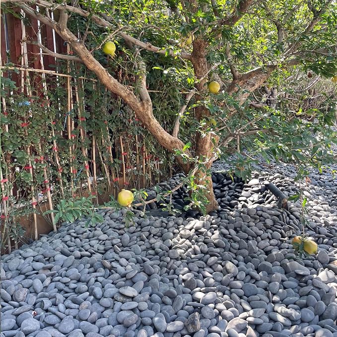 FANTIAN 20 lbs Natural Unpolished Black Rocks Mexican Beach Pebbles, 3-4 Inch Decorative Black River Rocks for Landscaping, Planters, Garden Paving, Walkways, Plant Rocks and Outdoor Decorayive Rocks