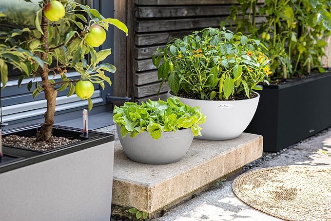 Lechuza CUBETO Stone 40 Quartz White, Self-Watering Bowl Planter, D15.7 H7.1 in