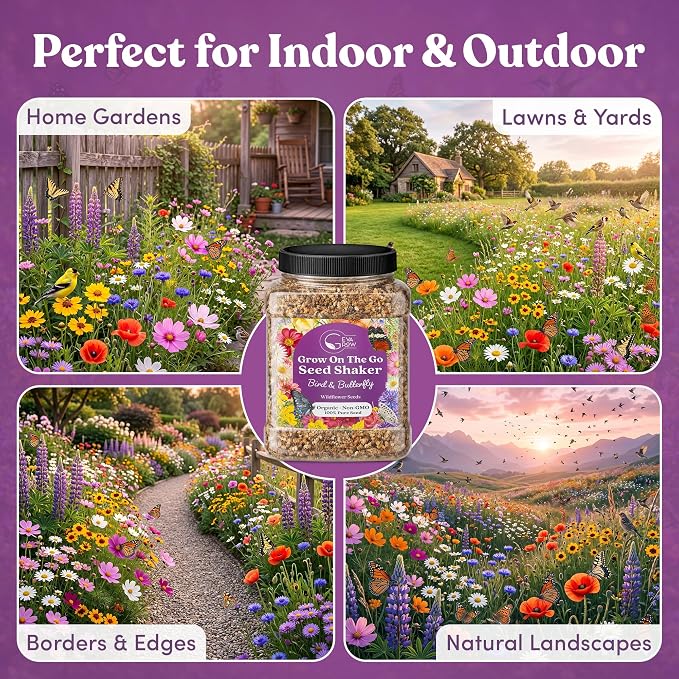 Bulk Wildflower Seed - Bird & Butterfly Garden Seed Mix | Bulk 300,000+ Annual & Perennial Flower Seeds for Planting - Attracts Hummingbirds & Butterfly | No Messy Bags or Packets | Bulk 1 Pound Jar