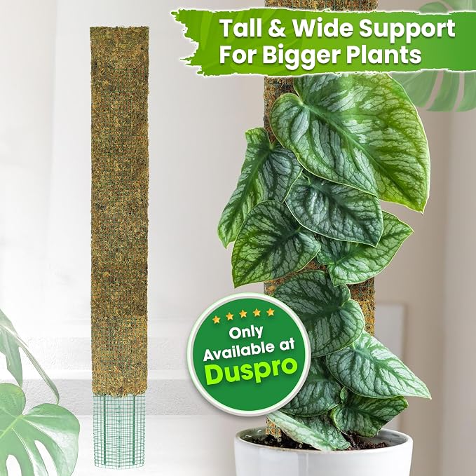 59" Flat Mesh Moss Pole for Big Climbing Plants, (1pc., 59'') | Wide Flat Real Moss Surface, Monstera Moss Pole for Indoor Plants, Plant Stakes for Mature Indoor Plants