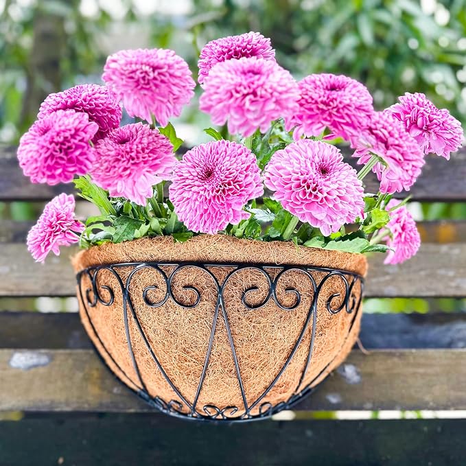 LaLaGreen Outdoor Wall Planters (4 Pack, 12 Inch) Black Metal Wall Mounted Hanging Basket with Coco Liner, Flower Pot Plant Holder Semi-Circle Planter for Fence Railing Deck Porch Balcony Garden Decor