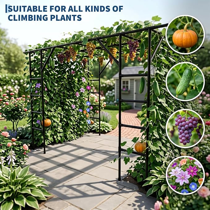 Large Grape Vine & Cucumber Trellis, 132x93x81 inches Large Outdoor Garden Arch Trellis, Outdoor Plant Stand, Plant Climbing Display Rack for Courtyard and Garden Decoration