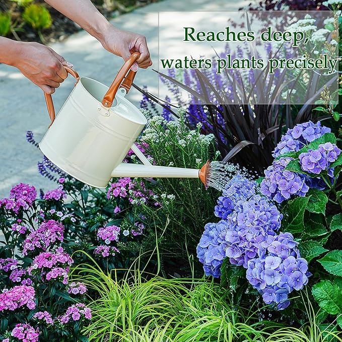 Metal Watering Can for Plants,Watering Cans for Outdoor&Indoor Gardening, Galvanized Steel Water Can with Removable Spout,Watering Pot with Ergonomic Movable Handle (Cream White)