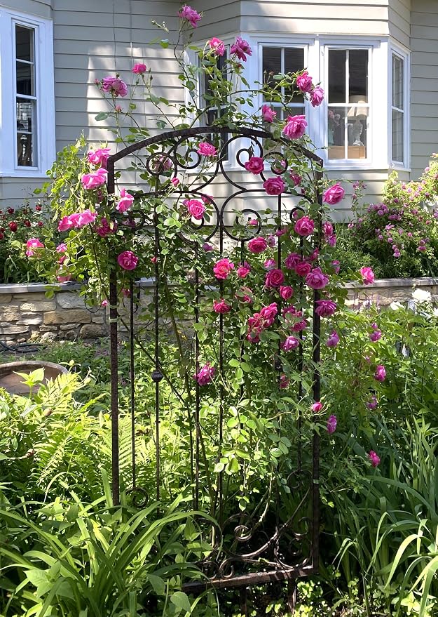 H Potter Garden Trellis 32" W x 6' Tall, Heavy Duty Iron Freestanding | Ground spikes included. Weather-resistant finish. Ideal for roses, clematis, ivy, and climbing vines.