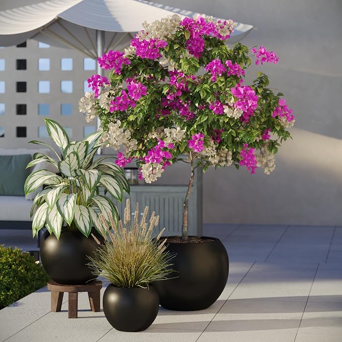 DTY Fiberstone Large Round Planter for Indoor Outdoor Use — Ball Globe Pot for Olive Tree, Monstera & Large Plants, Lightweight, UV Resistant, Drainage Hole, Coco Mat Included, Black, Medium 16.1'' D