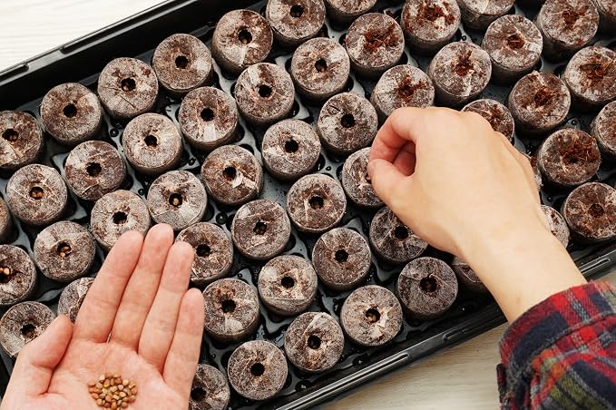 PlantBest 72 Coconut Coir Pellet Seed Starting Greenhouse Kit – 35mm Peat-Free Pellets, All-in-One Seed Starter Tray with Humidity Dome, Sustainable Indoor Germination