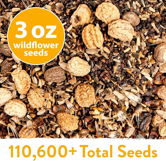 HOME GROWN Wildflower Seeds Bulk Mix | 110,600+ Non-GMO Annual Flower Seed for Planting | 21 Varieties for Butterfly & Pollinator Garden | 3 oz