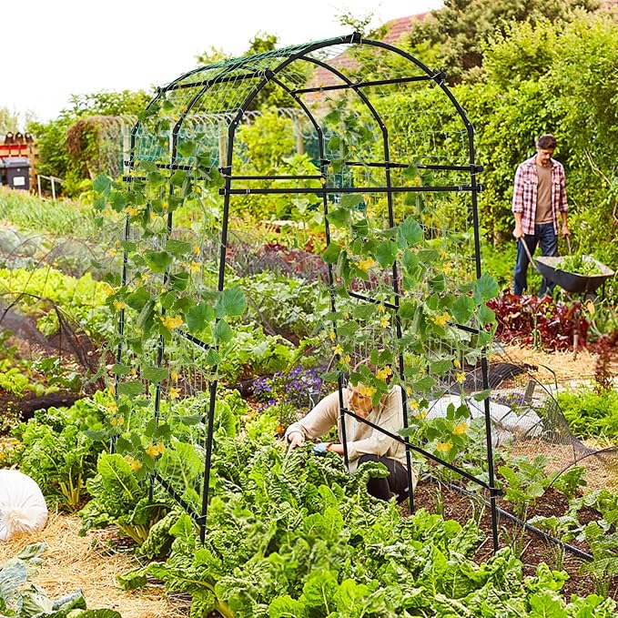 Giantex Garden Arch Trellis for Climbing Plants Set 2, 7.5FT Tall Plant Support Archway w/PE Coated Metal Structure for Climbing Vine/Vegetables/Fruit/Flower, Outdoor Cucumber Trellis for Raised Bed