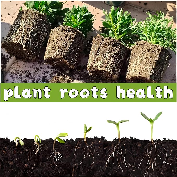 240 Cells Seed Starter Tray, 24 Pack Biodegradable Peat Pots with 24 Plant Labels, Organic Seed Starting Trays kit
