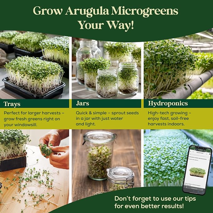 Seedphony Arugula Sprouting & Microgreens Seeds - 220,000 Non-GMO Heirloom Seed, 1lb Resealable Bag - High-Germination Arugula Seeds for Sprouting in Jars, Soil, Hydroponics & Microgreen Trays