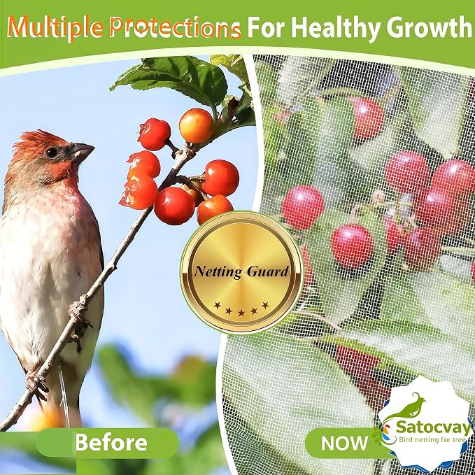 Fruit Tree Netting (3Pack, 10x10 FT)- Easy Install Plant Protection Cover, Reusable Garden Mesh Bag for Blueberry Bushes/Tomato - Block Birds/Insect/Squirrels