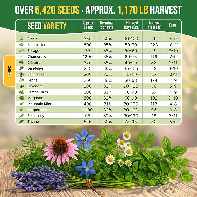 Organo Republic 15 Medicinal & Tea Herb Seeds Variety Pack 6,420+ Non-GMO Heirloom Garden Seeds for Indoor & Outdoors, Including Anise, Borage, Cilantro, Chamomile, Dandelion, Rosemary Seeds