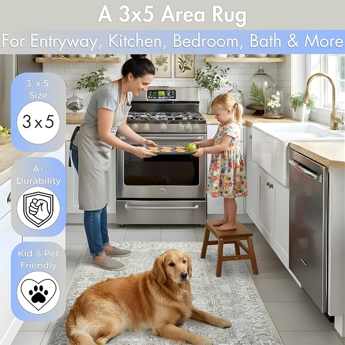 Sacred Artisans Farmhouse 3x5 Area Rug for Entry, Kitchen, Mudroom and Foyer | Washable, Pet Friendly, Durable and Low Pile (Stone, 3' x 5')