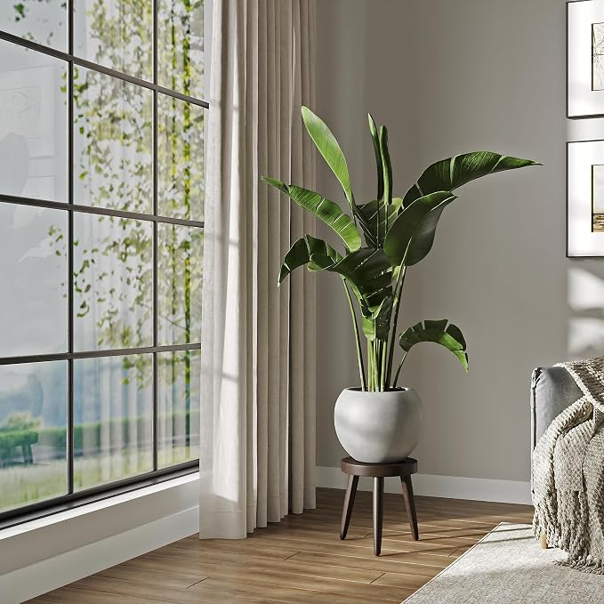 DTY Premium Mt Sherman Fiberstone Sphere Planter for Indoor Outdoor Use, Round Pot for Olive Tree, Lightweight, Smooth Finishes. 2 Extra Coco Mats. Gray, Medium 16.1'' D x 13.6'' H. 11.8” Pot Opening