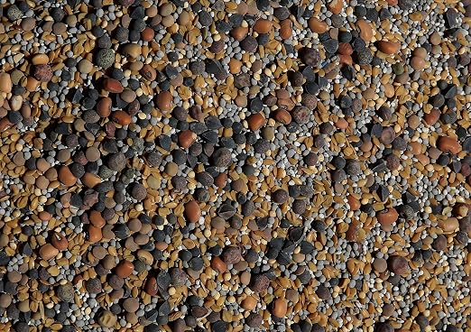 No-Till Cover Crop 13-Seed Mix: 50% Clovers Plus Fenugreek, Vetch, Flax, Cowpeas, Buckwheat, Forage Peas, Millet, Lentils (5-lb. Bag (Five Pound)