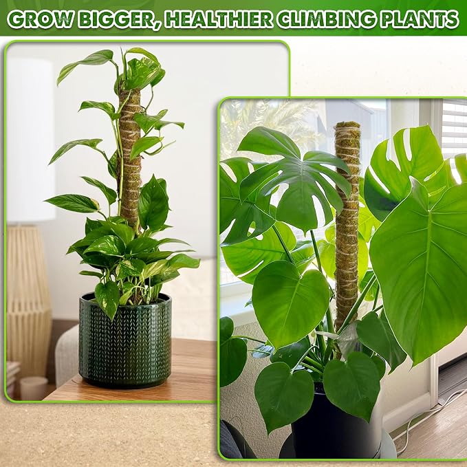 DUSPRO Natural Stackable Moss Pole for Plants Monstera Potted Plant Stakes for Indoor Plants Extendable Plant Pole Moss Sticks for Plants Climbing Vine Supporting Monstera Trellis 10Pcs 22''