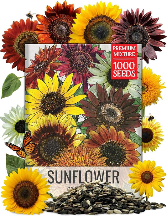 Seed Needs Sunflower Seeds to Plant Original Crazy Blend 1 Ounce Bulk Pack