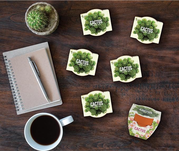 Buzzy Seeds Cactus Daydream Collection Grow Kit 6-Pack - Mini Terracotta Pot Grow Set - Complete Indoor Gardening Kit with Seeds, Coconut Husk Growing Medium & Genuine Pots - 100% Grow Guarantee