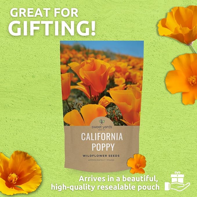 Bulk California Orange Poppy Wildflower Seeds - 1 Pound Bag - Over 320,000 Native Seeds - California State Flower!