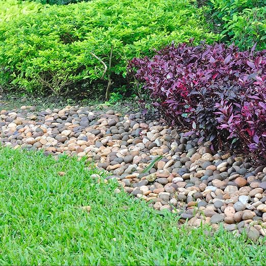Pulovin 5lbs River Rocks for Landscaping, 2"-3" Decorative Garden Stones for Plants, Flower Pots, Vase, Walkways, Yard, Natural Rocks for Aquarium, Fish Tank