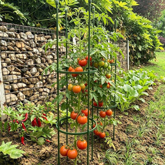 Tomato Cages for Garden&Pots, 6 Pack 50" Plant Support Trellis for Tomatoes, Cucumbers, Beans | Heavy-Duty Steel with Rust-Proof Coating | Garden Stakes for Outdoor Indoor Plants