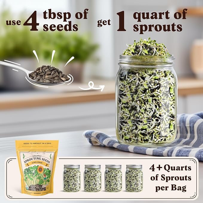 Seedboy Organic Sunflower Seeds for Sprouting - Non-GMO, USA Grown Microgreens Sprouting Seeds Mix - Makes 5 Quarts of Sprouts, 20 Servings (8 oz) (Black Oil Sunflower)