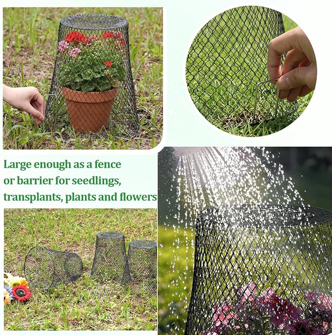 Therwen 20 Pcs Large Plant Wire Cloche 11 x 12 Inch Metal Garden Cloche with Garden Stakes Plant Protector from Animals for Keeping Bunnies Chicken Squirrels Birds (Black)
