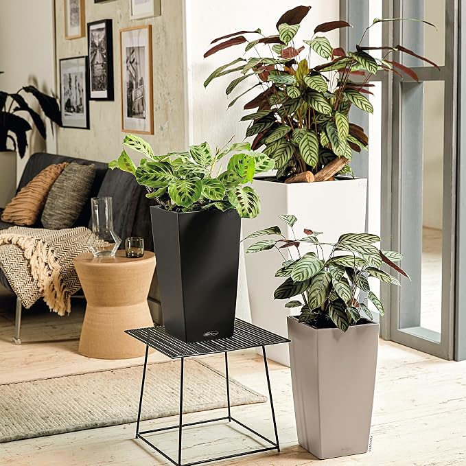 Lechuza 13150 Cubico Color 40 Self-Watering Planter for Indoor and Outdoor Use, 16" x 16" x 30", White
