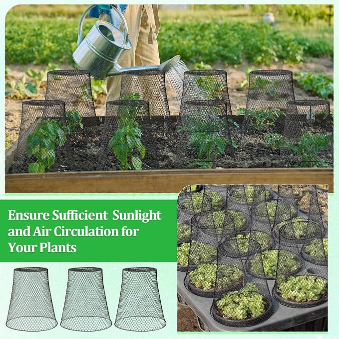 Therwen 10 Pcs Large Plant Wire Cloche 11 x 12 Inch Metal Garden Cloche with Garden Stakes Plant Protector from Animals for Keeping Bunnies Chicken Squirrels Birds (Black)
