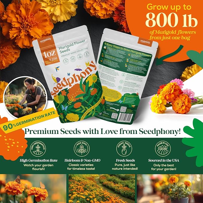 Seedphony Marigold Seeds Pack 1 oz - 9,250 Non-GMO Heirloom Marigold Seeds for Planting, Perennial Flowers in Waterproof Seed Packet, Wildflower Seeds for Planting Garden Indoor & Outdoor Gardening