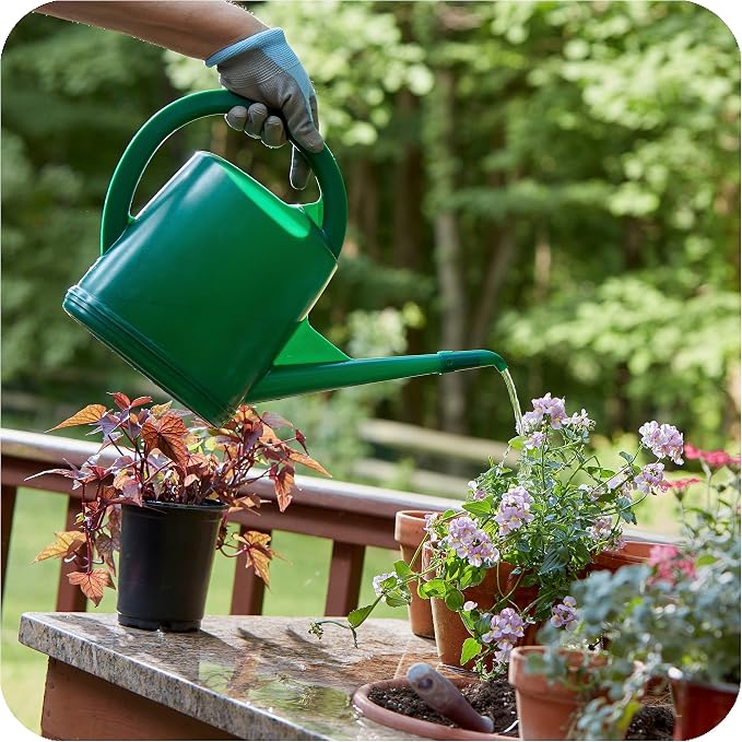 Consolidated Plastics Durable Swiss Watering Can with UV Protection, Ergonomic Handle for Indoor/Outdoor Gardening, Made in Switzerland (4 Liter, Green)