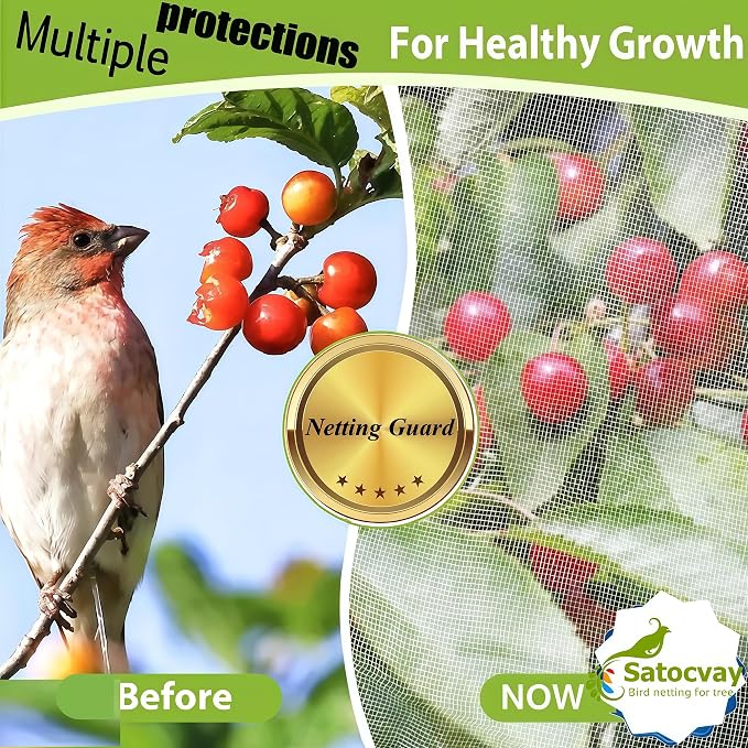 Fruit Tree Netting with Drawstring- 6 Pack 5.3x6 FT- Easy Install Plant Protection Cover, Reusable Garden Mesh Bag for Blueberry Bushes/Tomato - Block Birds/Insect/Squirrels