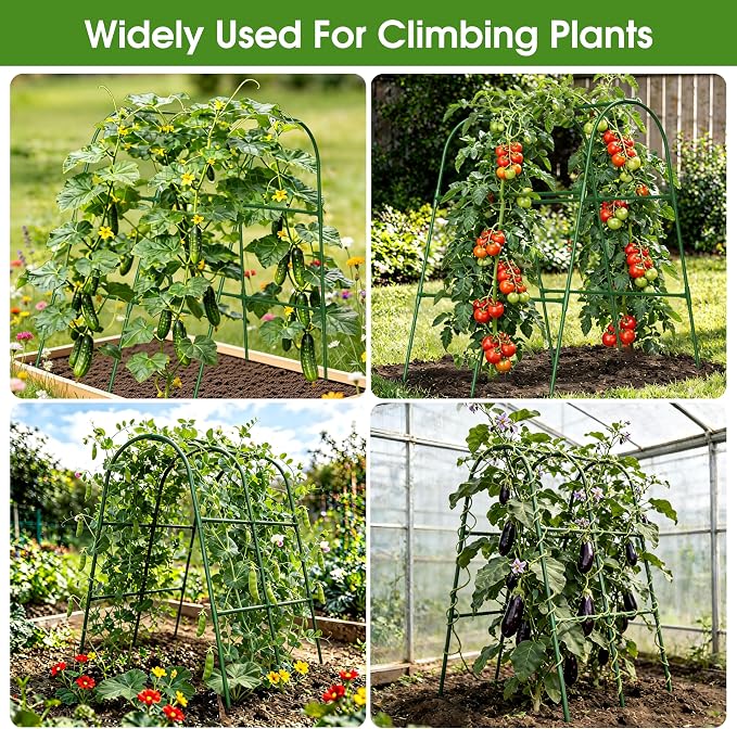 Cucumber Trellis for Raised Bed,U-Shape Garden Trellis for Climbing Plants Outdoor, Metal Arch Vegetables Trellis, Plant Support for Vine (Green, 31.5" Lx21.6 Wx47.2 H-Small)