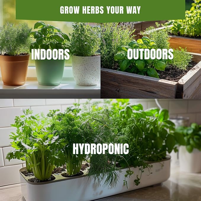 Culinary Herb Seeds Variety Pack – Basil, Cilantro, Parsley, Oregano, Rosemary & Thyme – 18 Varieties, 4100+ Non-GMO Heirloom Seeds, Indoor & Outdoor Growing