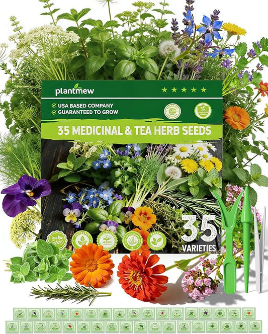 Medicinal & Tea Herb Seeds for Planting - 35 Non-GMO Variety Pack for Indoor/Outdoor Garden: Anise, Bergamot, Borage, Fennel, Chamomile, Dandelion, Oregano, Hyssop, Catnip Seeds & More