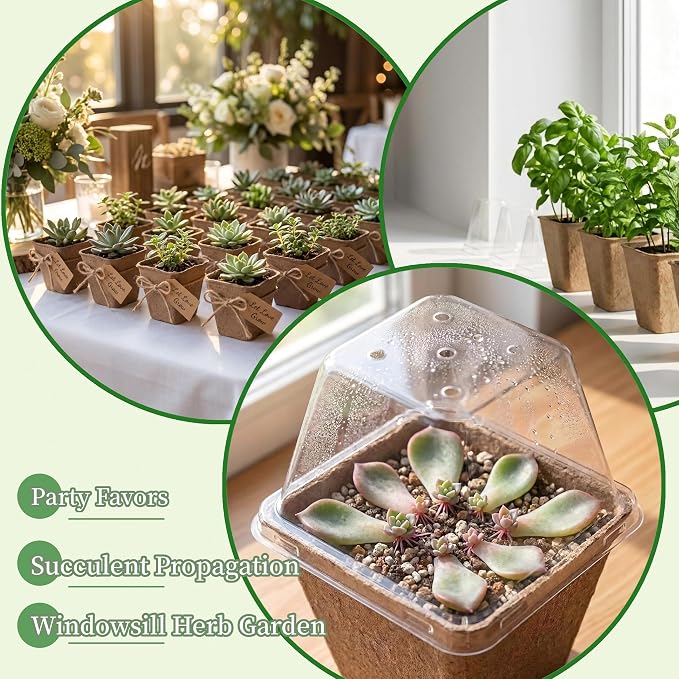 50-Set Seed Starter Kit (150 PCS Total), 3" Square Biodegradable Peat Pots with 50 Humidity Domes & 50 Labels, Nursery Pots for Fall Garden & Indoor Herb Seedlings Germination