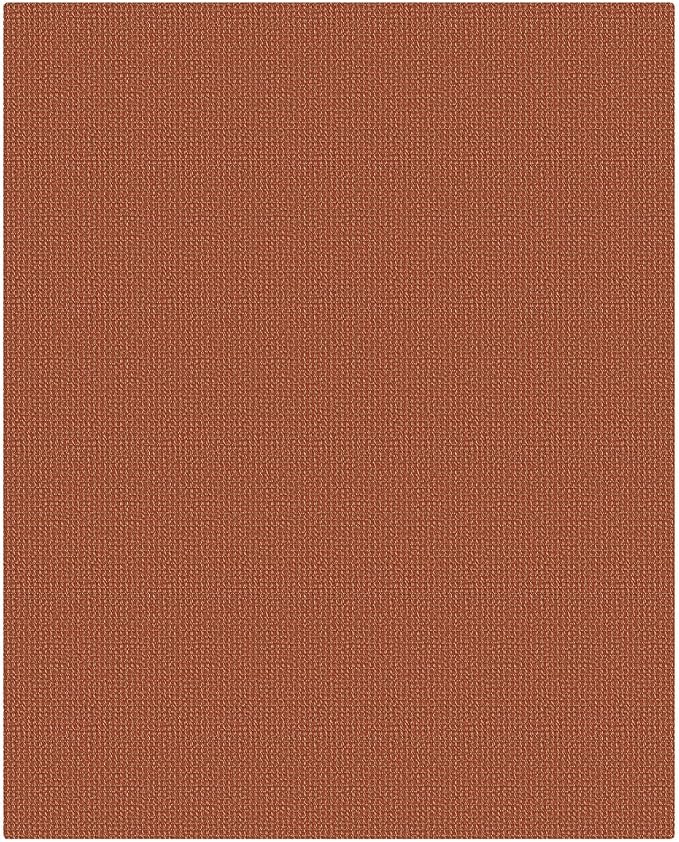 KOZYFLY Orange Washable 4x5 Entry Woven Area Rug, Braided Throw Rugs for Entryway, Non Slip Door Mat Indoor Entrance, Flatweave Carpet for Foyer, Bedroom, Dining, Office, Burnt Orange/Tan