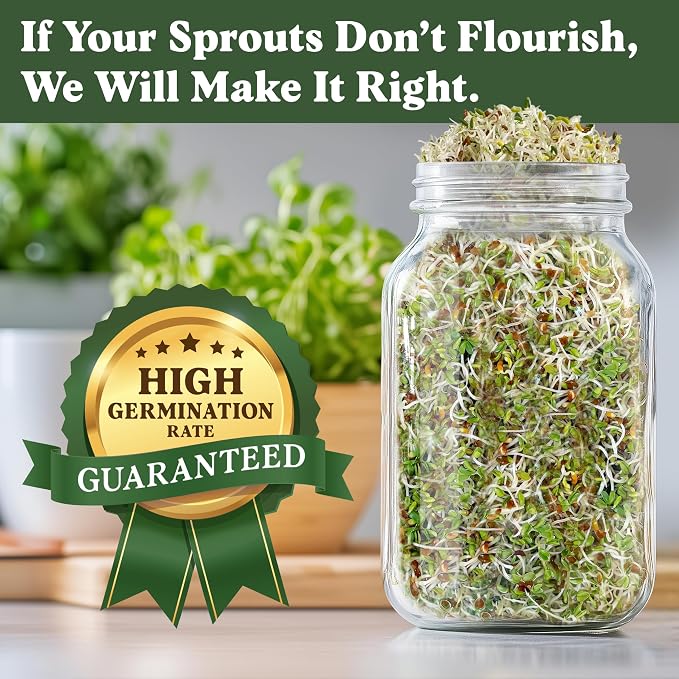 Seedboy Organic Non-GMO Alfalfa Seeds for Sprouting - Microgreens Sprouting Seeds - 8 oz Bag Makes 8 Quarts / 32 Servings (Alfalfa)