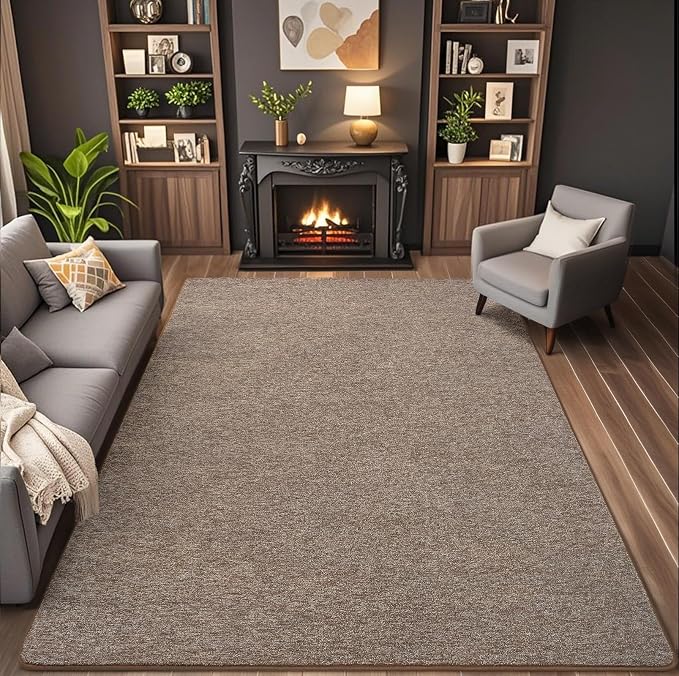 AROGAN 5x7 Area Rugs for Living Room Non Slip Dorm Bedroom Rug, Matte Brown | Modern Area Rugs with Soft Memory Foam, Minimalist Washable Indoor Floor Carpet for Dining Room Office Kids Playroom Decor