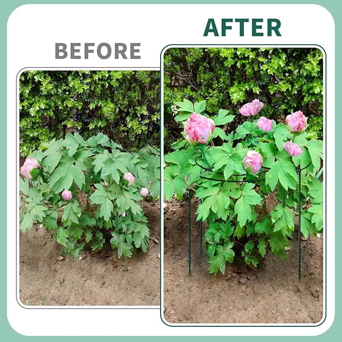 4 Sets Peony Support Cage,24"Diax32"High Heavy Duty Metal Plant Support,Grow Through Hoops Grids with 4 Thickened 6mm Legs,Strong Support Brace for Heavy Blossoms,Flower Support Ring for Peonies,Rose