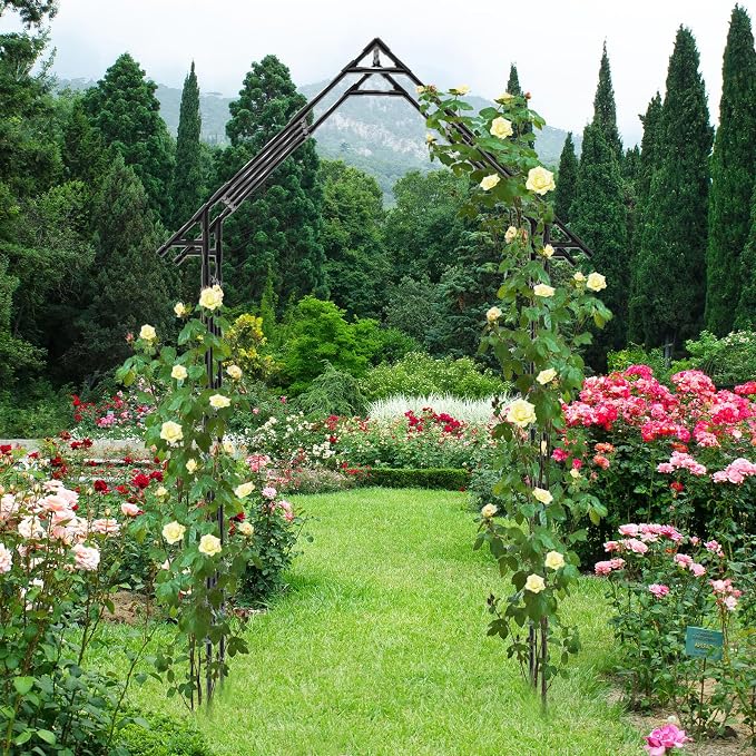 Garden Arch Trellis - 48"L *98"H Gothic Abor Trellis with Reinforced Frame, Garden Trellis for Climbing Plants Outdoor, Heavy Duty Metal Archway for Backyard, Patio, Lawn, Balcony(20MM Pipe)