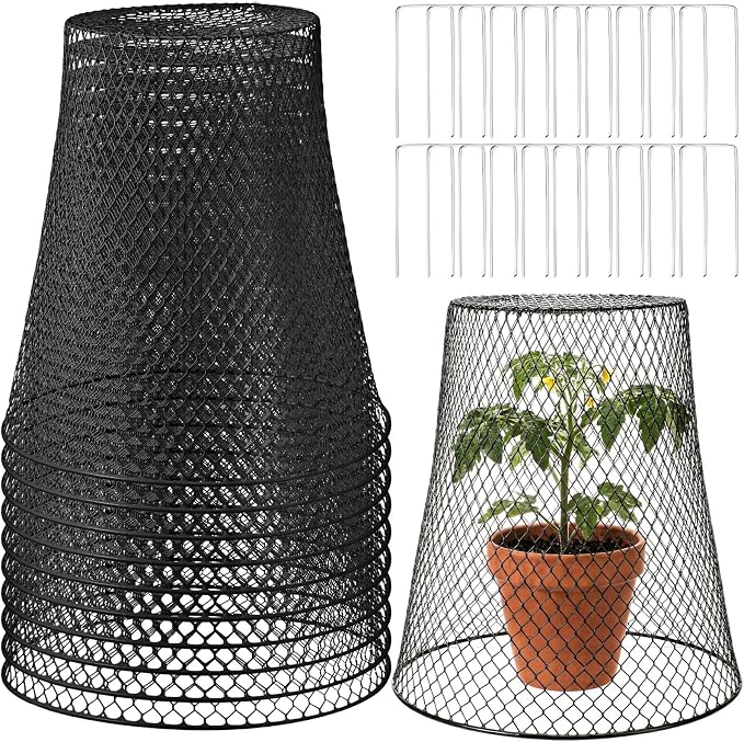 Therwen 10 Pcs Large Plant Wire Cloche 11 x 12 Inch Metal Garden Cloche with Garden Stakes Plant Protector from Animals for Keeping Bunnies Chicken Squirrels Birds (Black)